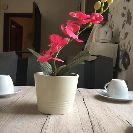 In Binger Stadtmitte Mit Balkon Бинген-на-Рейне